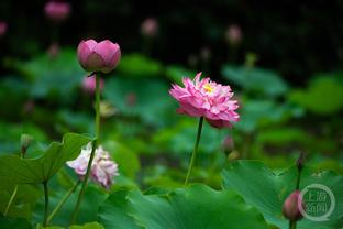 艾克森携儿子送祝福：元宵节快乐，期待7天后在凤凰山球场重聚